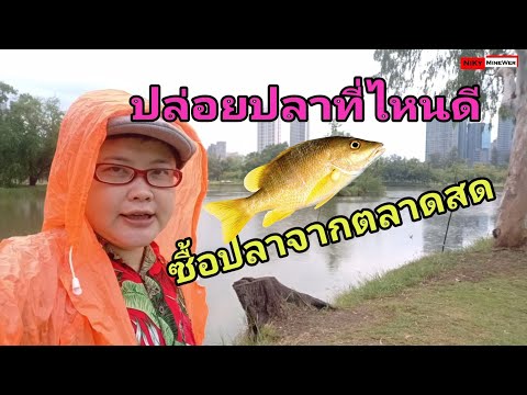 ปล่อยปลาที่ไหนดี - ซื้อปลาจากตลาดสด