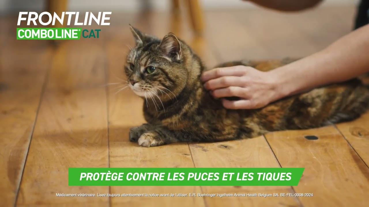 FRONTLINE® Combo®Line Cat - FR 10s 2025