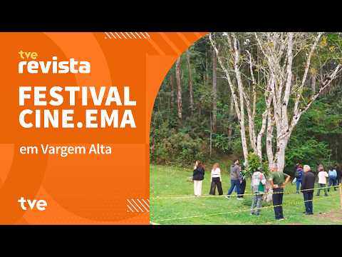 Cinema, experiences, and debate