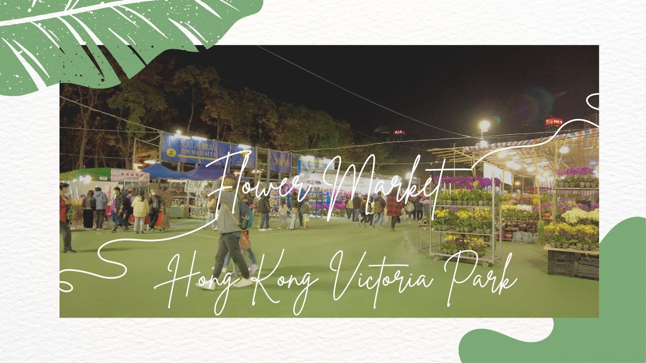 Hong Kong 4K Victoria Park Flower Market 2023 香港維多利亞公園花市 YouTube