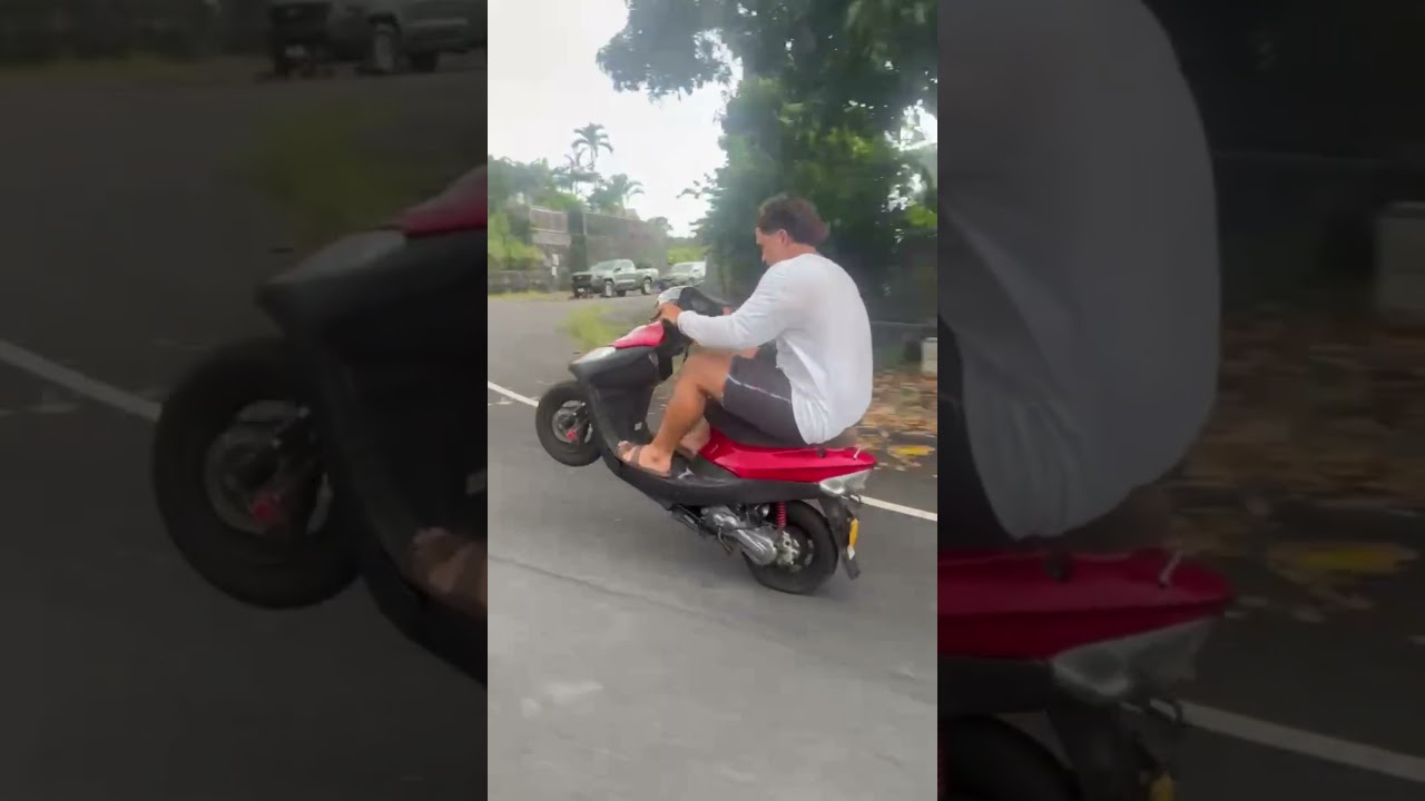 How could I not love my life🤣 