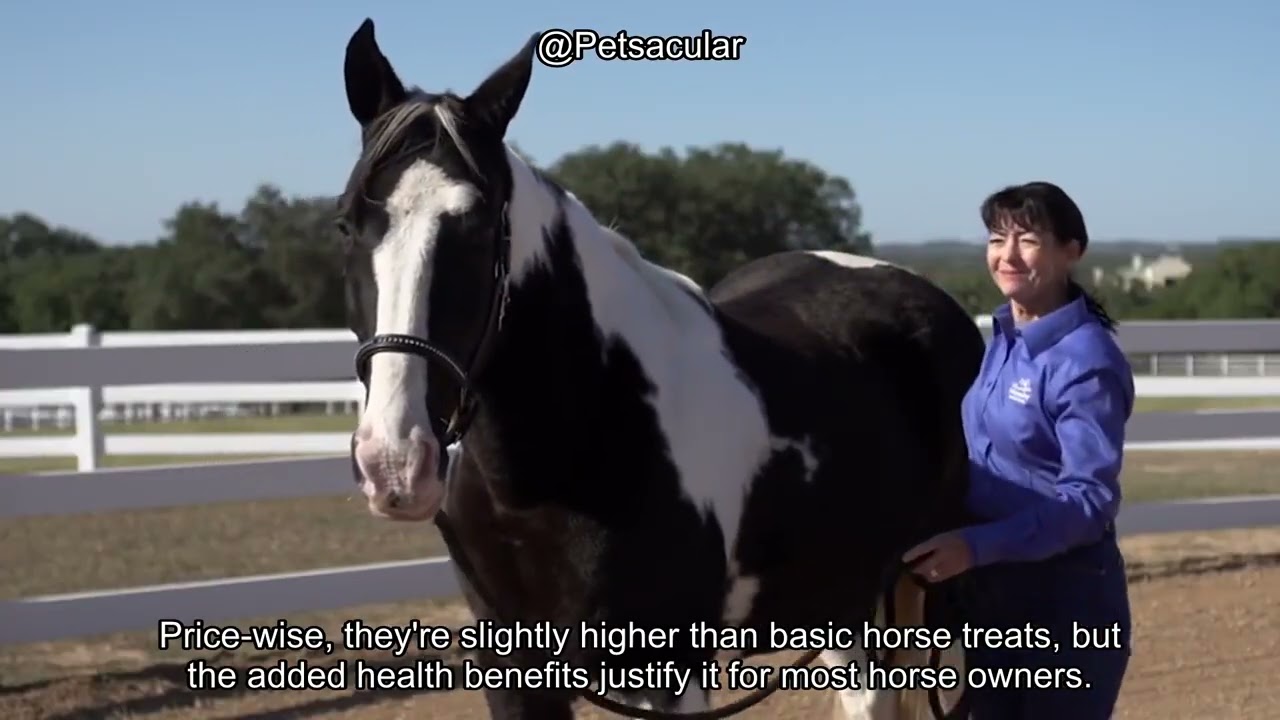 Manna Pro Bite-Size Horse Treats Review: Worth the Peppermint Nuggets for Training?