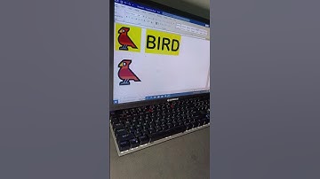 Bird 🕊️🕊️🕊️ Symbols Shortcut Key