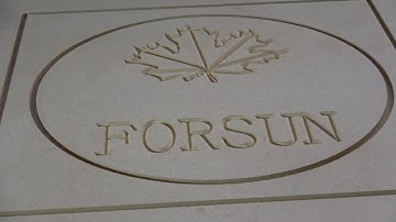 Economical cnc router machine  FS1325 for wood engraving