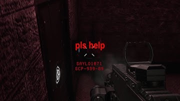 scpsl - we speedrun killing the scps