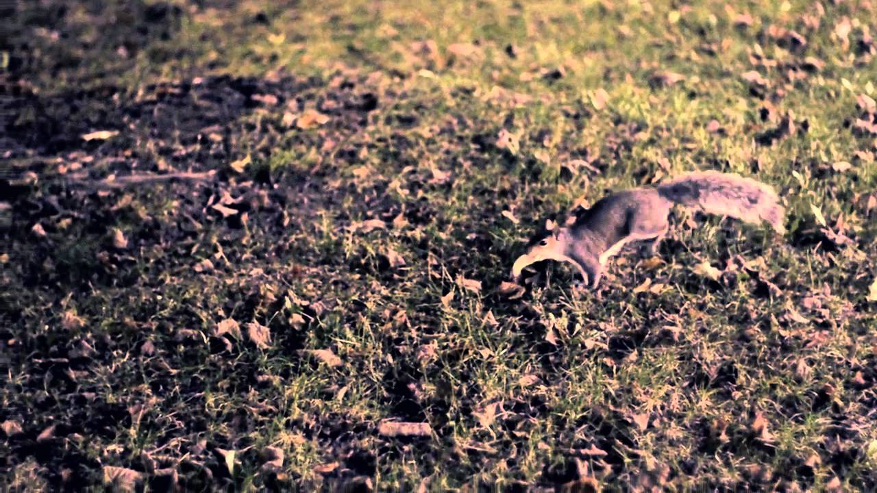 Watch Goodwill Chopping GH1 720p HQ Soundtrack on YouTube Watch Goodwill Chopping GH1 720p HQ Soundtrack on YouTube