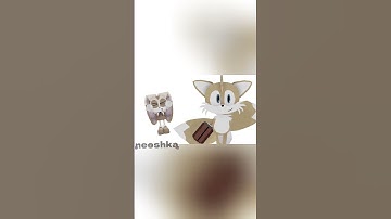 reupload bleh (Tails & Cream) [Sonic Exe: The Disasters] #sonic #fyp #roblox #animation #sonicexe