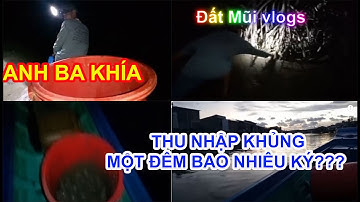Săn Ba Khía Cà Mau – Một Đêm Bắt Được Cả Chục Kg, Hái Ra Tiền!