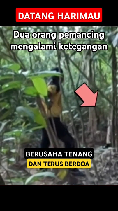 Resiko sang petualang bertemu binatang buas