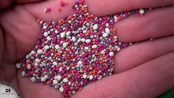 How to Frost Seed Clover: Easy, Inexpensive, with Great Results for Spring Food Plots!