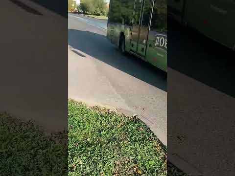 Lotos 206 по