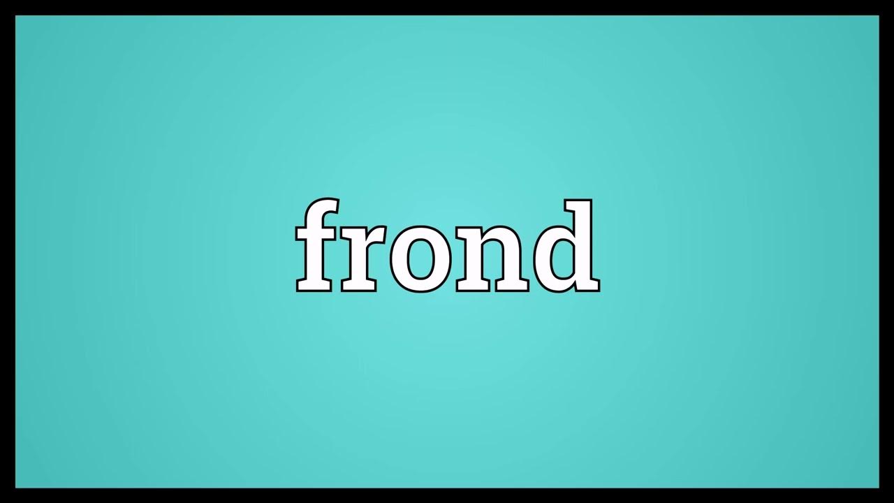 Двацветок пратчетт. Achilles heel meaning. How to make a decision. How to make a decision. Decided meaning.