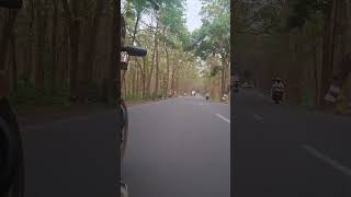 #forest #nature #ride #summer #likeandsubscribe