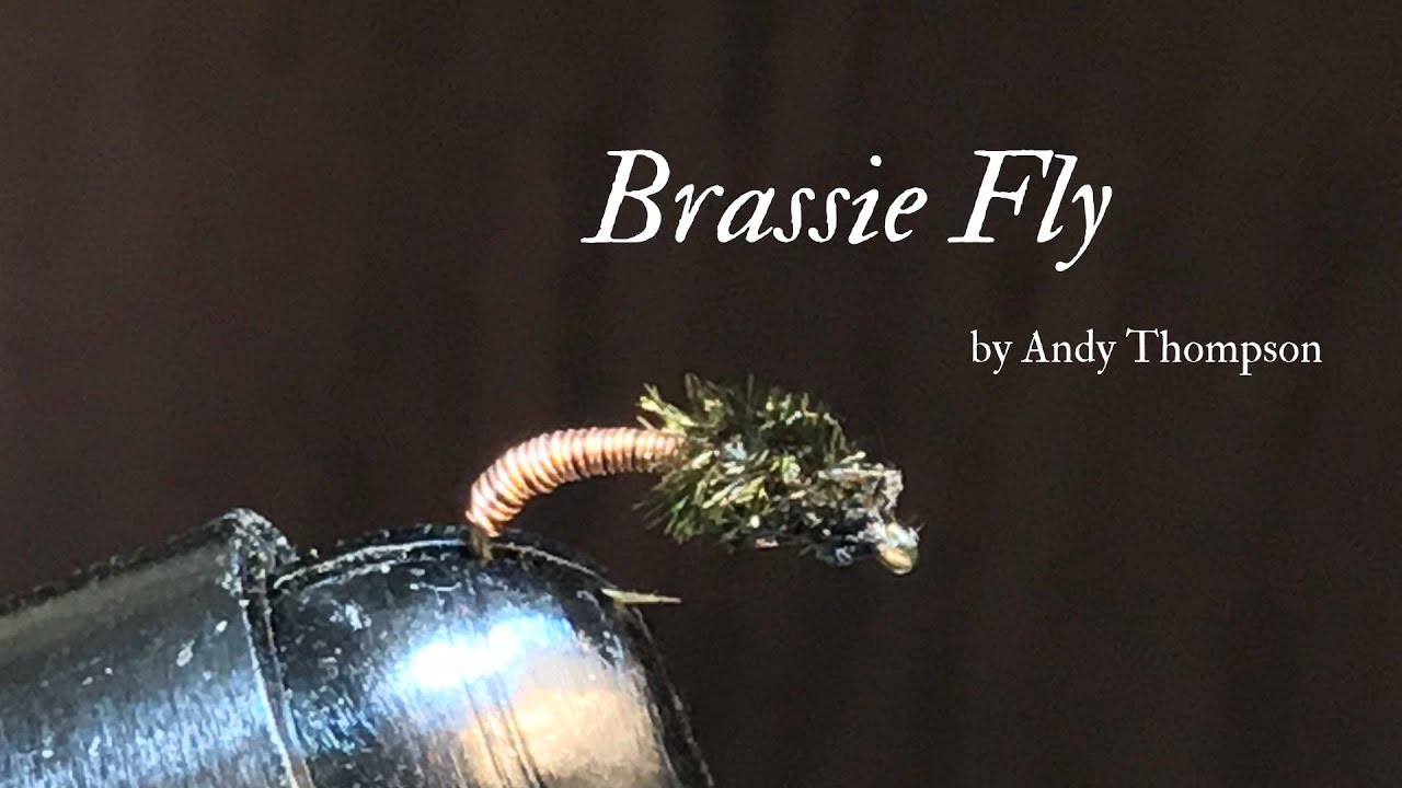 How to Tie the Brassie Fly Pattern YouTube