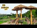 حديقة حيوان زيورخ سويسرا - أجمل حديقة حيوان في أوروبا. جولة سيراً على الأقدام 4K