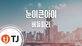 Video thumbnail of "[TJ노래방] 눈이큰아이 - 버들피리 / TJ Karaoke"