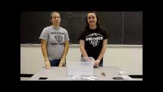 Buoyancy  Experiment
