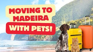 Moving to Madeira with Pets | Your Complete Relocation Guide