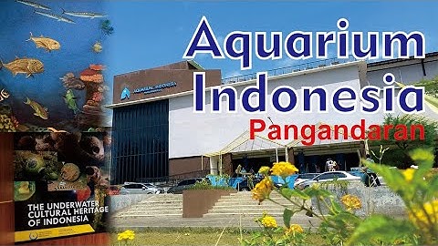 AQUARIUM PANGANDARAN INDONESIA, PANGANDARAN BEACH WEST JAVA INDONESIAN