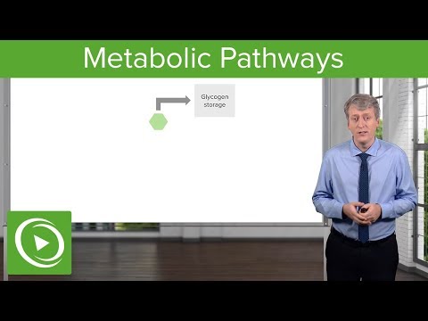 Inborn Errors of Metabolism: Metabolic Pathways – Pediatrics | Lecturio 