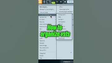 How To Organize VSTS & PLUGINS In FL STUDIO 2024  #flstudio