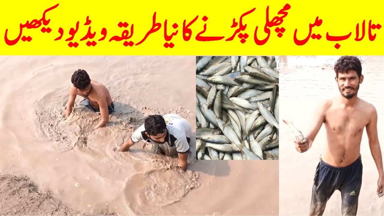New Style Fishing In A Village Pond Pakistan Urdu Hindi YouTube