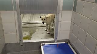 acs A659109