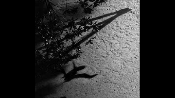 Max Richter - Horizon Variations (Official Audio)