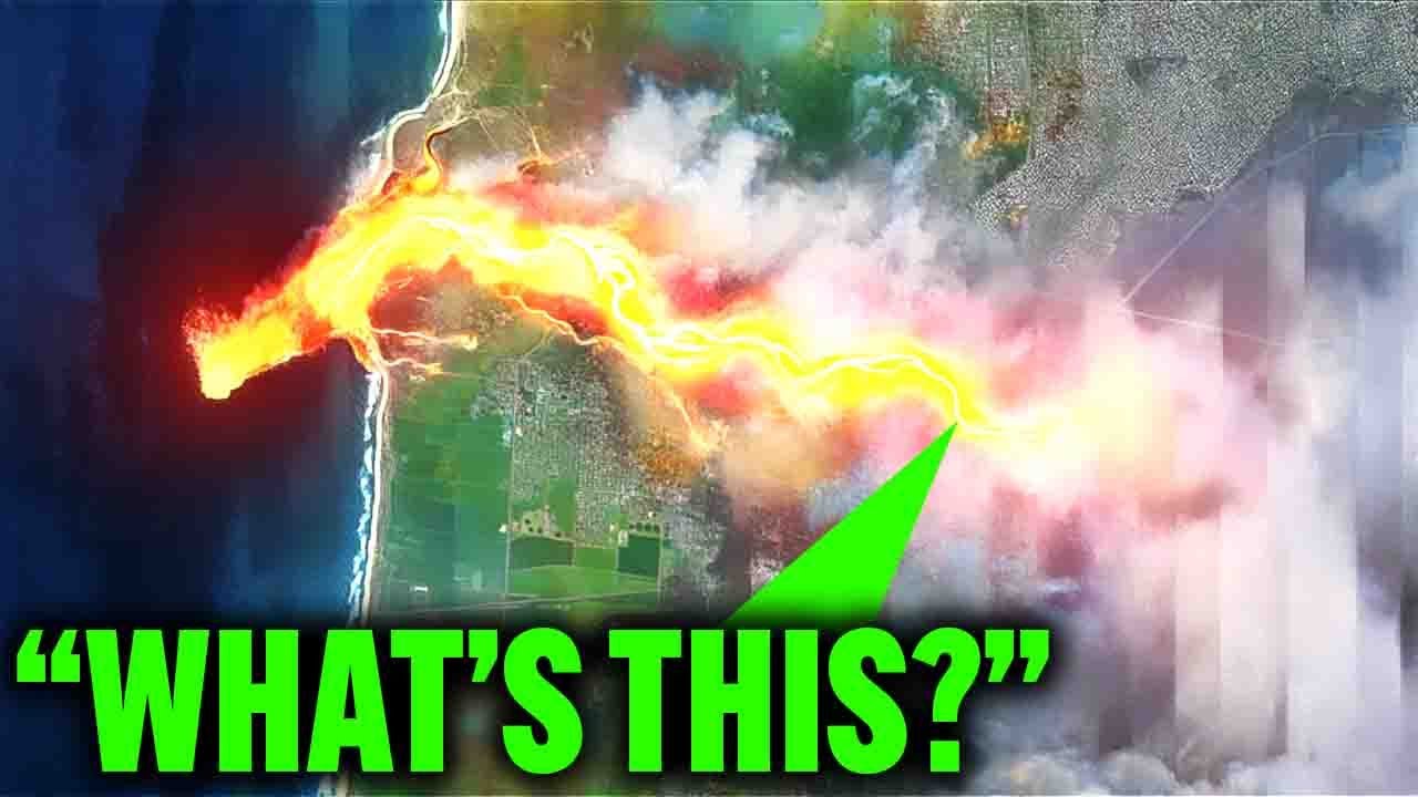 California’s Forests Burned to Ash — Then Nature Did Something No One Saw Coming