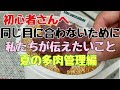 【多肉植物】初心者の方々へ 同じ目に合わないために