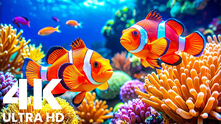 Marvel at Sea Animal in The Best 4K ULTRA HD Aquarium-Dive Into The Mesmerizing Underwater Realm