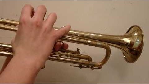 Finite Volume but Infinite Surface Area: Gabriel