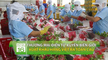 Thương mại điện tử xuyên biên giới: Xuất khẩu hàng Việt ra thế giới | VTC16