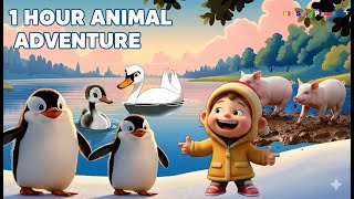 Friendly Animals Adventure 🦢🐷🐧 | 1 HOUR LOOP | Kids Songs & Animal Sounds