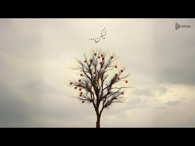 LIKAN - لیکن