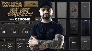 Two Notes DynIR Bass Cabs Comparison through GENOME 🔊 1 Riff ⚡️ 10 Cabs