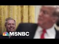 Lindsey Graham: GOP Cannot Grow Without Donald Trump | The 11th Hour | MSNBC