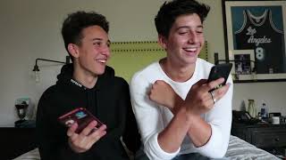 Milo and Mason Q&A