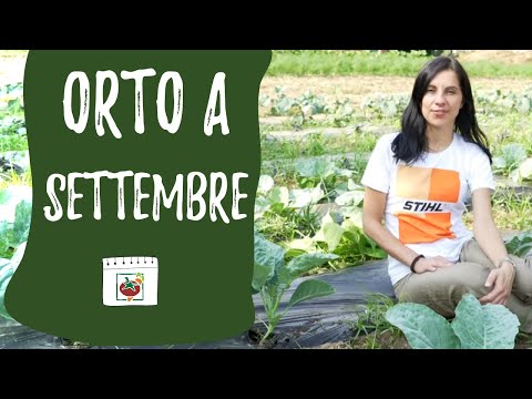 Video: Settembre Lavori In Giardino E Orto