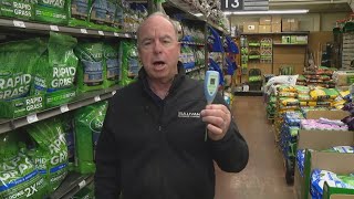 Pat Sullivan's tips for how to properly care for your lawn