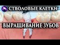 СТВОЛОВЫЕ КЛЕТКИ. ВЫРАЩИВАНИЕ ЗУБОВ. Регрессивный гипноз. Марина Богославская. Ченнелинг 2021.