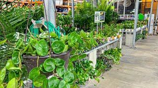 Chill Late Night Plant Shopping at The Home Depot!