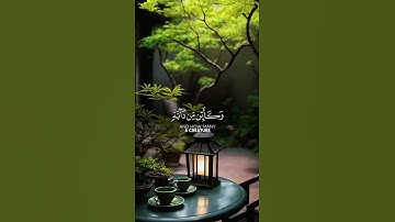 تلاوه خاشعه للقارئ الشيخ عبد الرحمن مسعد.. اكتب شيء تؤجر عليه