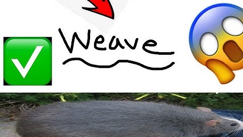 How to get Weave Loader with Lunar Client QT