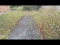 Transformation of a garden overrun with weeds  satisfying result