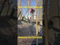 Plastic Flakes Washing Line | Efficient PET Plastic Recycling Solution#plastic #plasticwashingline