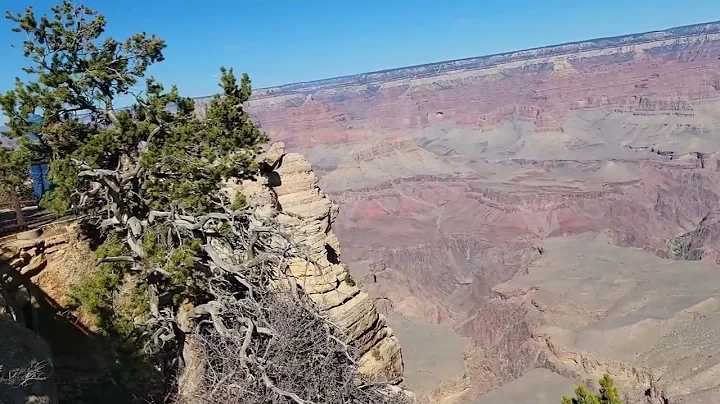 Grand Canyon @Williams, Arizona #YONnie