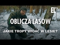 Jakie tropy widać w lesie? | Oblicza lasów #12