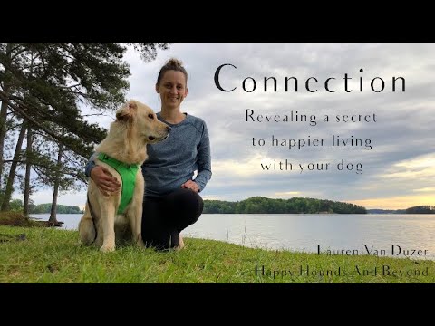 Connection for Dog Lovers