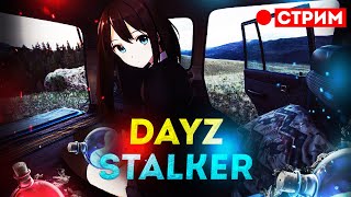 Приложи меня к ранам своей души, гори ! | DAYZ MIND STALKER RP